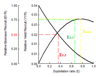 Figure 8: Relative yield per recruit (Y`/R) and biomass per recruit (B`/R) (Knife-edge selection) of Rhinobatos rhinobatos collected from Syrian seawaters.