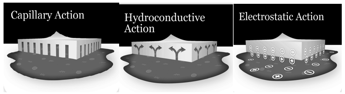 Figure 1: The mechanism of action of hydro conductive dressing containing leva fibre.