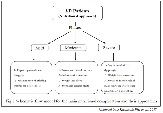 Figure 2: Schematic Flow Model for the Main Nutritional Complication and their Approaches.