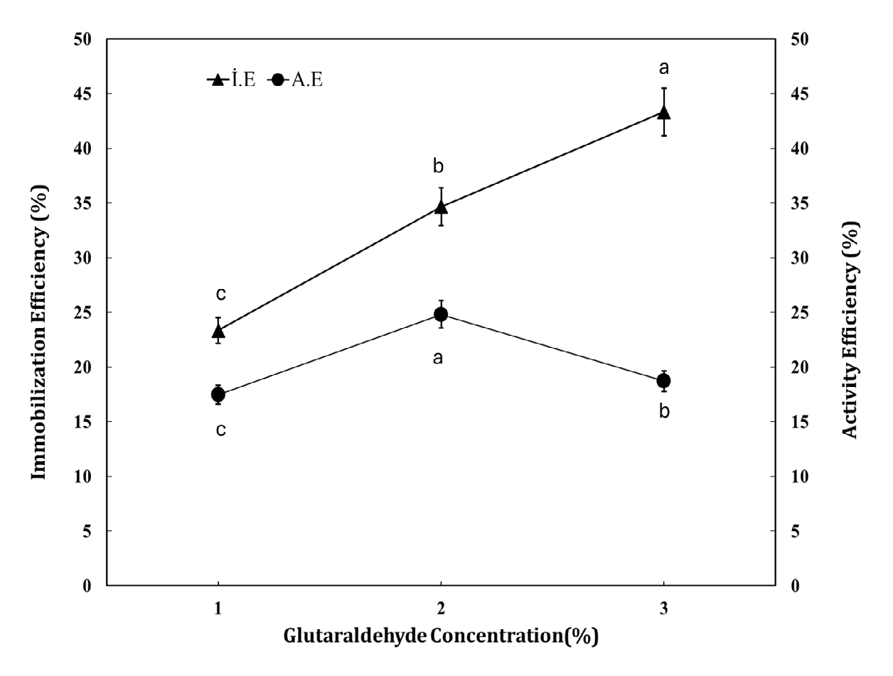 Figure 7: Determination of glutaraldehyde concentration in laccase immobilization using silica aerogel (I.E: Immobilization efficiency; A.E: Activity efficiency). The means having the same superscript letters are not significantly different by One- way ANOVA (Duncan)test (P < 0.05).