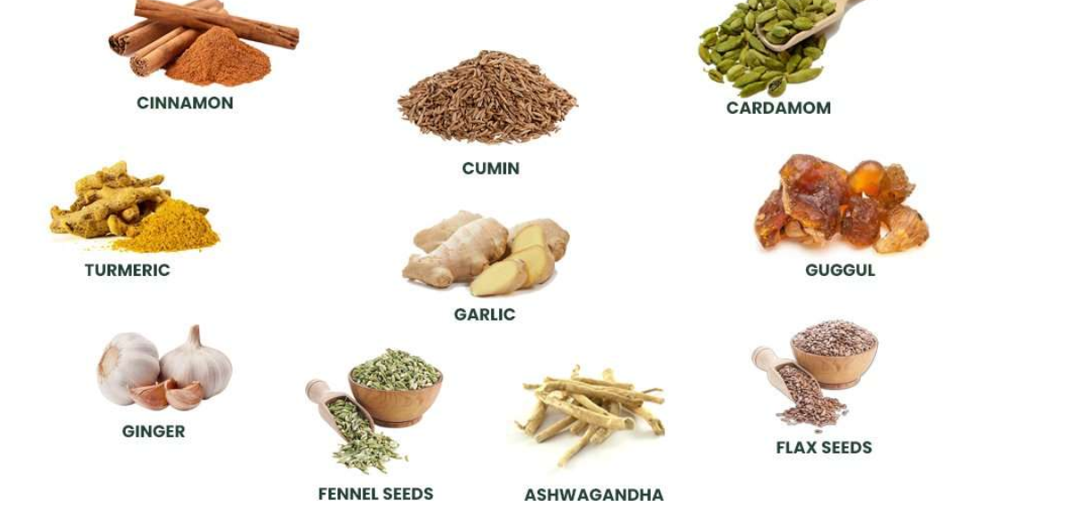 Figure 2: Natural Ingredients for Weight Control.