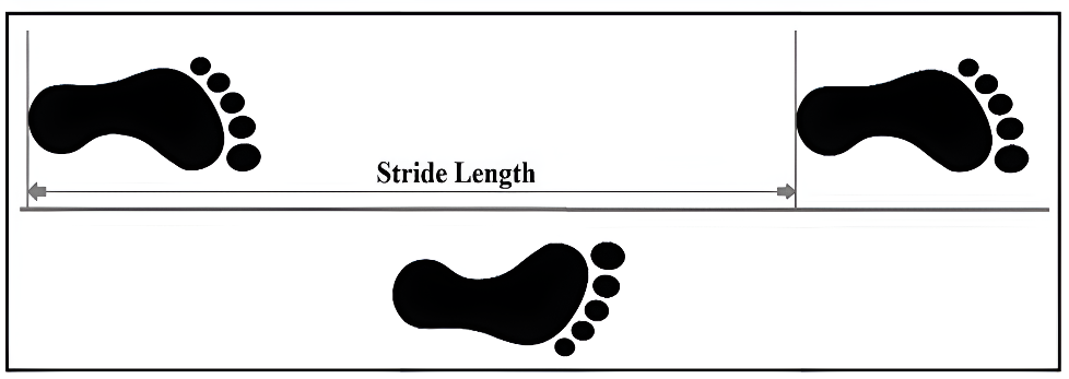 Figure 1: Stride Length.