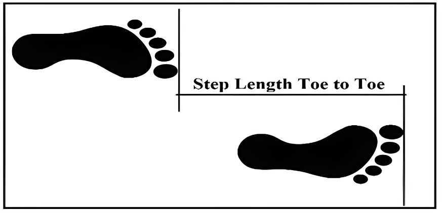 Figure 3: Step Length (Toe to Toe).