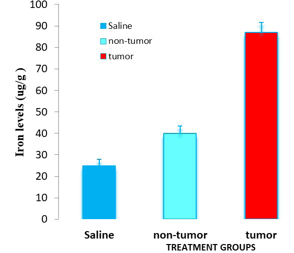 Figure 1: Depicted the level of cutaneous iron in uninvolved, involved and tumor skins of mice under the effect of iron treatment. The treatment protocol and experimental procedures are described in the text.