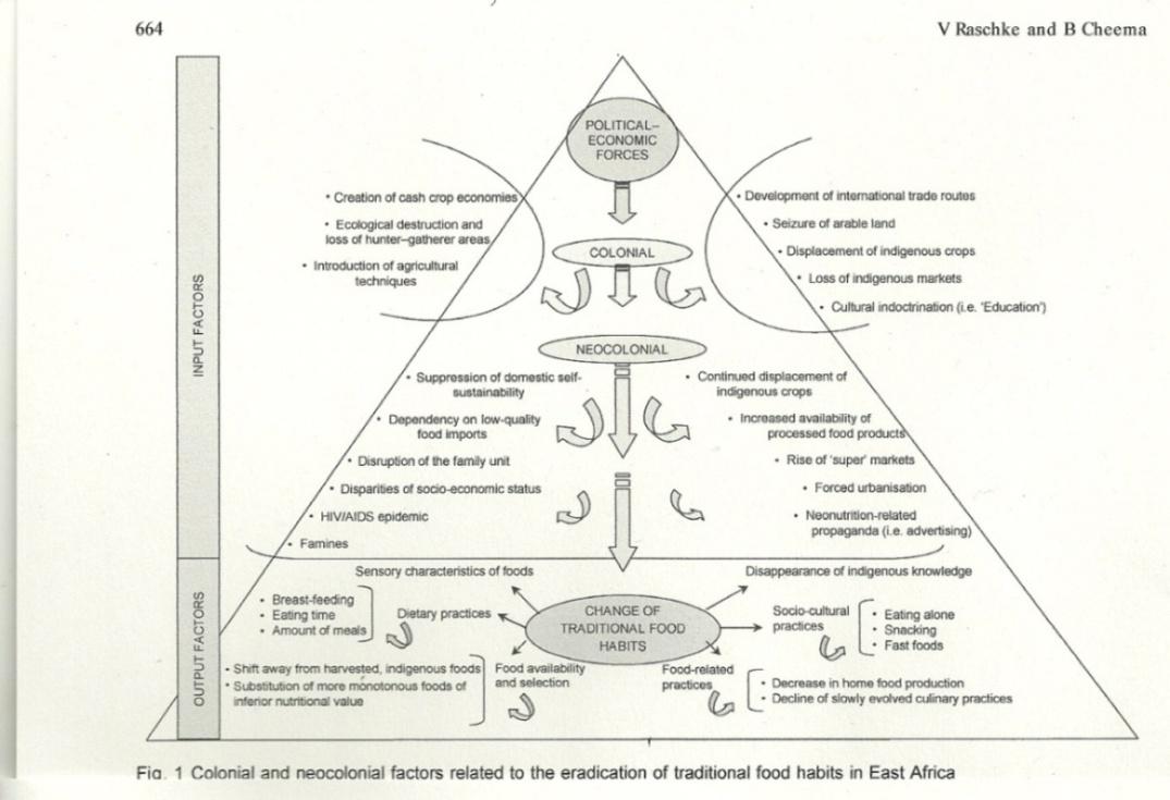 Figure 2: A Human and Cultural Ecological Funnel.