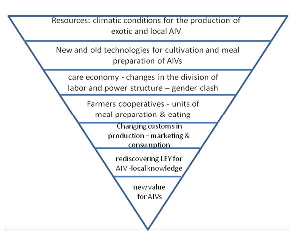 Figure 3: Ecological Funnel to Meal Culture with respect to AIV. Natural Ecological Resources and factors: AIVs are rediscovered as valuable resources to prepare healthy meals – diverse sorts and plenty varieties exist. The climatic conditions are favorable for AIV cultivation; they grow fast and can be harvested every six weeks in most of the areas of Kenya. They are well adapted to the East African geological realities and robust to climate change. Water and energy is needed to prepare AIVs and cook a meal with them. **Technological** **Equipments** **for** **Producing** **and** **Cooking:** The technologies in use depend on social class and regional equipment – where energy and access to fire plays an important role. Clean water is an important issue – as well as access to fire and energy for cooking. As AIVs become a commercialized crop the economic interests grow; new technologies are used and implemented. AIVs become a commercial crop that needs capital to intensify farming. The question of who controls these technologies need local empirical evidence, but in most of the cases up till now technologies tend to strengthen the power position of men in farming activities. It will be important to follow the outcome of this process on gender relations, empowerment and food security for the poor. **Economy and the Division of Labor:** AIVs have been known as female crops – women were the ones who collected or cultivated these vegetables during decades and centuries. They took responsibility for reproducing them, selling them on the market and preparing them to meals in the social reproduction sphere. With the rediscovery of AIVs as healthy and economically interesting crops new arrangements in the division of labor occurs that need sensitive evaluation. These processes often are not in favor of the former producers, the female farmers in the society. This give rise to conflicts in the social structure and gender relations are affected strongly. **Social Institutions and the Organization of Meals:** Social institutions and their structures are important aspects to understand meal habits and meal cultures with respect to AIVs. This encompasses the production as well as the reproduction sphere, where mostly women take responsibility. The institutional setting of production whether on an individual basis or within a household unit or even within a cooperative has consequences for social relations and interactions within communities. While more men enter the production sphere the gender arrangements will shift and will be transformed essentially. The gender order within the value chain of AIVs touches upon the respected community structures. The social reproduction sphere with preparing, cooking, serving, eating, washing etc. and the power relations within the household unit will be part of this process of change.