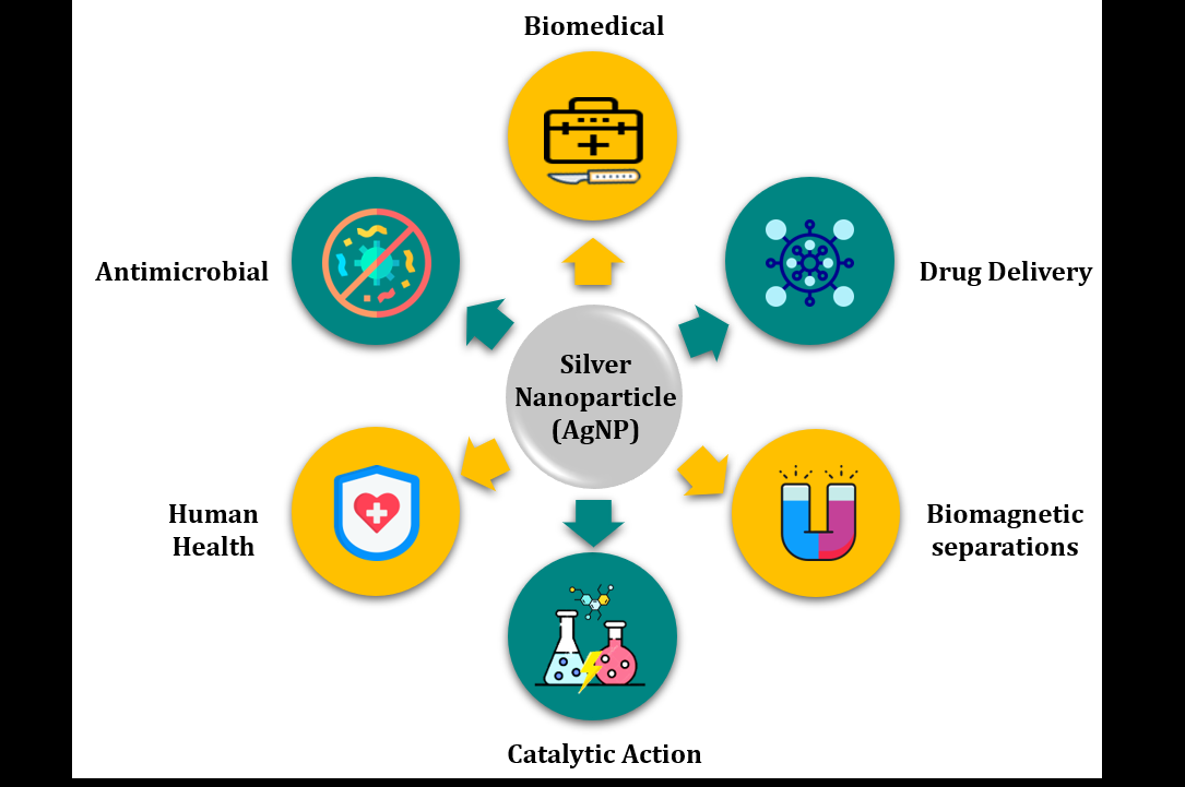 Figure 3: The general characteristic of nanoparticles is that their small size increases their surface area, which in turn amplifies their effect. Additionally, the nanosize of the particles enhances their ability to penetrate, which helps to improve the use of the metal properties. Nanoparticles can enter the circulatory system and move even the blood-brain barrier based just on their size obstacle within the human system. Although their anti-inflammatory properties are also thought to be very helpful in the medical area, silver nanoparticles’ antibacterial properties are the ones that are most frequently used in this discipline. According to preliminary research, the decrease in local matrix metalloproteinase (MMP) activity and the rise in neutrophil death within the wound are the causes of the accelerated wound healing observed in the presence of nanoparticles. It has been proposed that MMP may create inflammation, which would prevent wounds from healing [32]. When silver nanoparticles were added to a mouse model of burn injury, it was also shown that the levels of pro-inflammatory cytokines decreased. Additionally, it was discovered that silver nanoparticles can suppress the inflammatory processes of tumour necrosis factor alpha and interferon gamma. Despite the fact that these studies demonstrate the involvement of silver nanoparticles in the anti-inflammatory effects, the specific mechanism of action is yet unknown. However, because of its anti-inflammatory properties, nanosilver is a great option for usage as an anti- inflammatory drug in a variety of therapeutic applications [33,34]. Artificial joint replacements use bone cements that contain silver nanoparticles. Nanosilver-loaded polymethyl methacrylate is being investigated as bone cement because it contains nanosilver, which has antibacterial properties [35]. The most popular material for creating inserts for complete joint replacement components is ultrahigh molecular weight polyethylene; nevertheless, this material has a significant disadvantage in that it is prone to wear and strain. Silver nanoparticles were added to get around this, and their presence significantly decreased the polymer’s wear and tear [36]. Currently, antiseptics and antibiotics are utilised to avoid surgical infections. Surgical meshes are utilised for tissue restoration and to bridge big wounds. Despite their effectiveness, these meshes are vulnerable to microbial diseases. Biosensing is another application for nanosilver. The size, shape, and surrounding dielectric medium of nanosilver determine its plasmonic characteristics. It is a prime option for biosensing due to its exploitable dielectric medium features. Many proteins that are difficult for conventional biosensors to detect can be efficiently biosensitized by nanosilver biosensors. Nanosilver’s special benefit can be used to identify a number of anomalies and illnesses in the human body, including cancer [37].