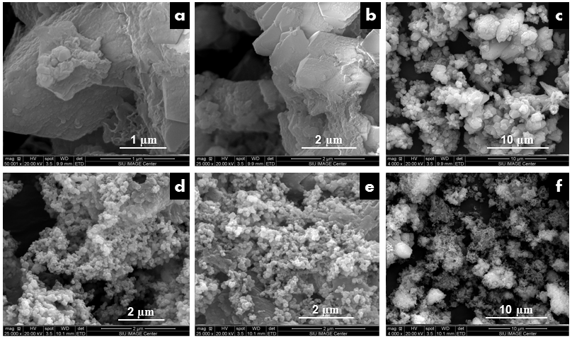 Figure 7: Growth assessment of vetiver after hydroponic treatment.