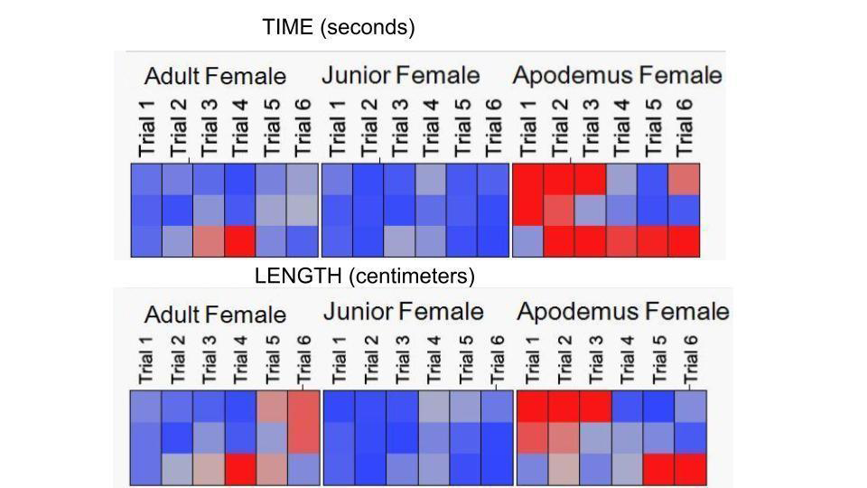 Figure 3: Mosaic showing the representation of values translated into color for the variables of time (upper row) and distance (lower row). It shows how the red squares are mostly present in the undomesticated Apodemus Sylvaticus group, pointing out in colors how they might have different performance and goals compared to the domestic group.