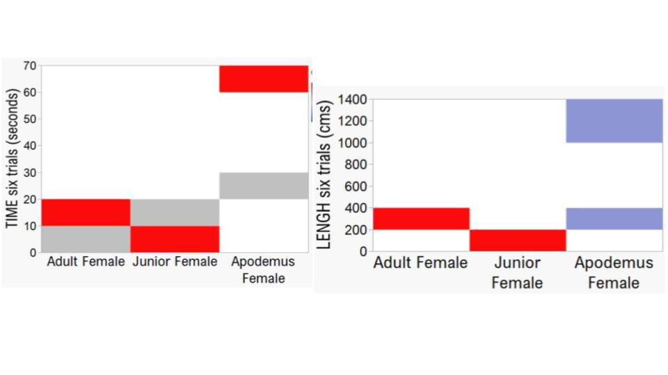 Figure 4: As in figure 3, these heatmaps show the particular performance and perspective of Apodemus Sylvaticus (AS) in the Morris Maze test. The left graph shows time (latency in seconds) and the right one the space (length in centimeters). The AS prints its own character and identity on the interpretation and execution of the test.