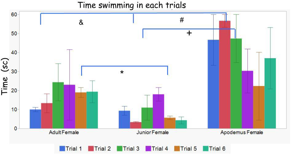 Figure 5: This graph shows the mean of time each group spent in the water per trial. Statistical significance was found between the Apodemus Sylvaticus (AS) group and the other two in trial 2. In trial 3 the difference was between AS and the MM Junior group, having the later the smaller latencies. In trial 5 both domestic MM groups, Adult vs Junior were statistically significantly different. & p < 0.0013 in trial 1; # p < 0.0023 in trial 1; + p < 0.034 in trial 3; * p < 0.0112 in trial 5.