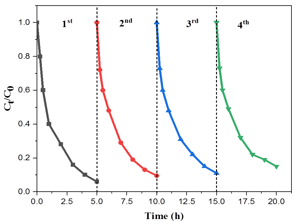 Figure 12