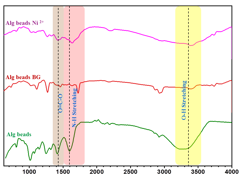 Figure 14: A discernible shift in the location of particular peaks in the sorbent was observed upon adsorption. Following the adsorption procedure, the broad peak at 3415 cm-1 that corresponded to the O-H group and the band assigned to the carboxylate groups (O=C-O-) in the alginate polymer at 1635 and 1420 cm−1 were displaced.