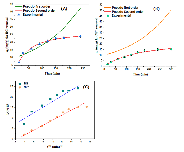 Figure 9: Fitting of (A) BG dye, (B) Ni2+ ions adsorption for both pseudo-1st order, pseudo–2nd order adsorption kinetic model, and (C) Fickian intra-particle diffusion model onto gC3N4/PVA@alginate beads