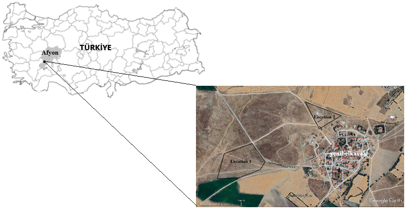 Figure 1: ** Country: Türkiye, City: Afyonkarahisar, Village: Yenibelkavak.