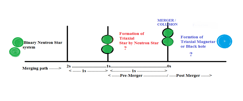 Figure 11: Schematic diagram showing the situation just 1second before the moment of collision with the possible formation of “Triaxial Star”. At post-merger formation of Triaxial Magnetar is also possible.