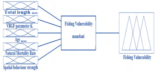 Figure 4: Fuzzy inference system variables (Inputs: TLmax, K, Tmax, M, S; Output: FV).