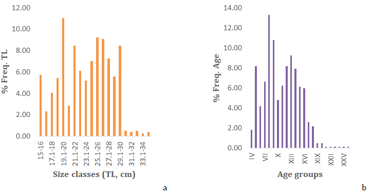 Figure 5: a. Total length frequency distribution (TL); b. Age composition for Helicolenus dactylopterus in Syrian waters.