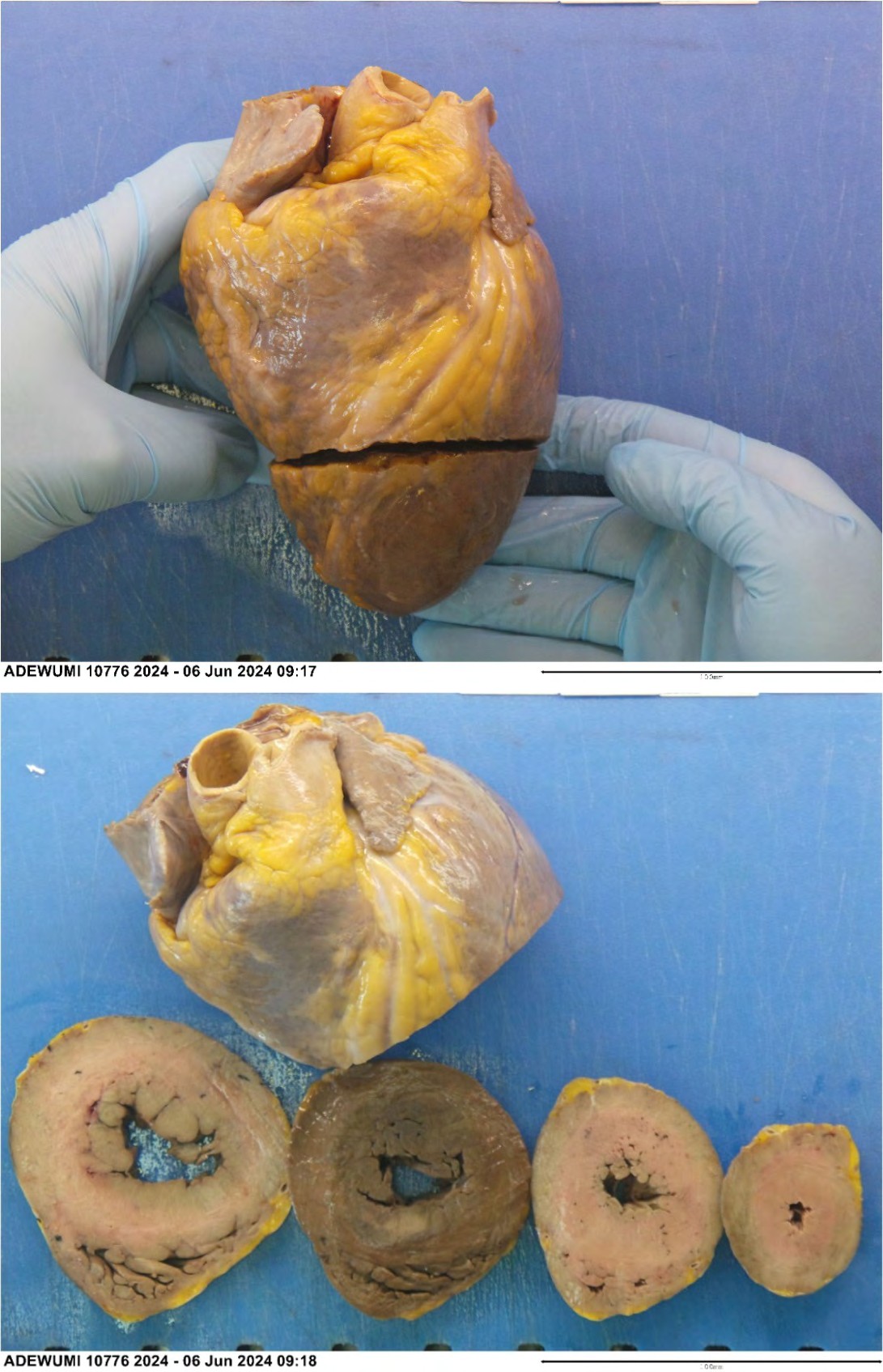 Figure 10
