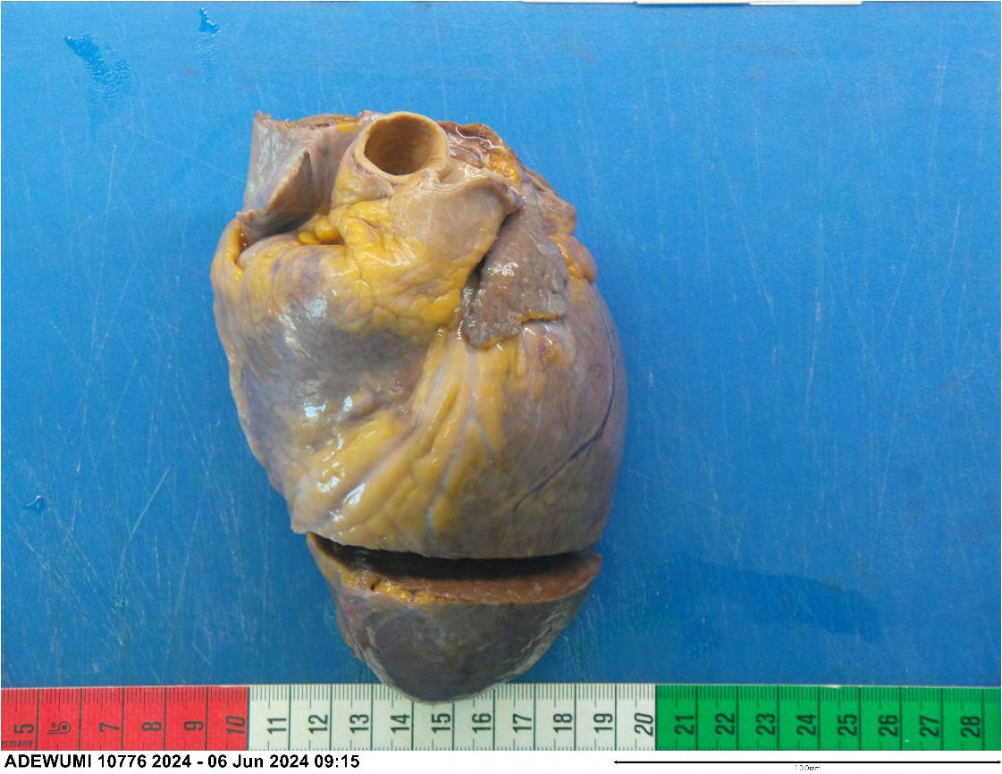 Figure 9