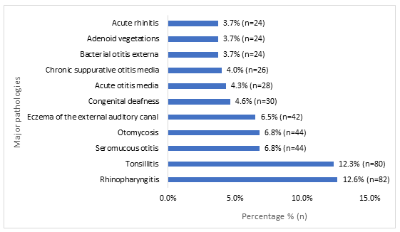 Figure 3: Frequency of major pathologies.