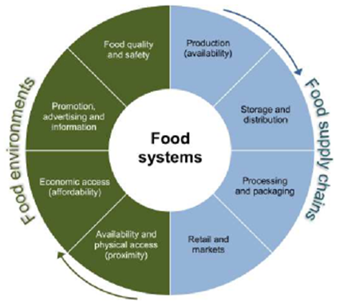 Figure 1: Stakeholders involved in the food system in any one environment across the globe.