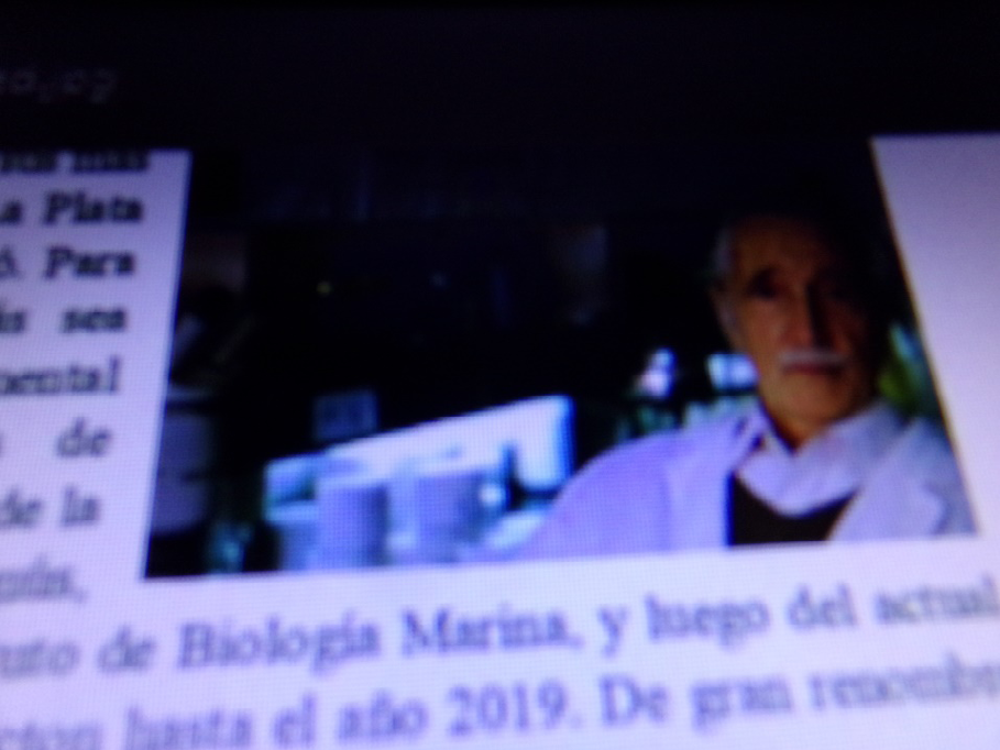 Figure 9: PIC. 3727 belong to Dr.Ramirez