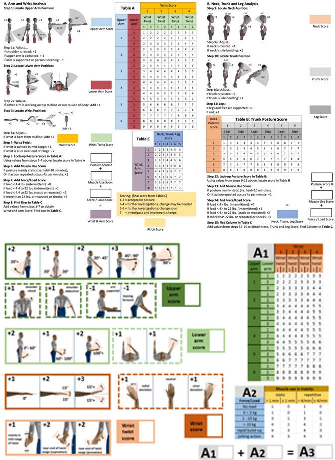 Figure 2: RULA worksheet including all relevant steps [20].