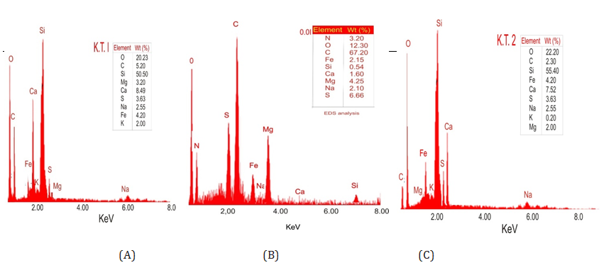 Figure 7: EDS of (A) extracted chitosan, (B) eggshell activated carbon, and (C) chitosan-eggshell activated carbon.