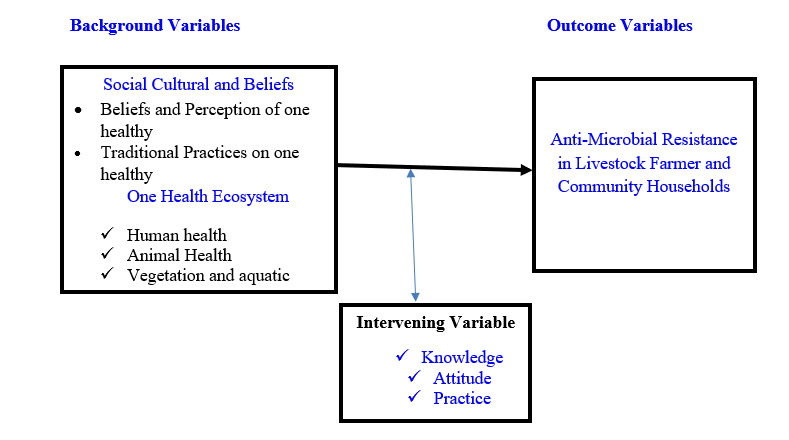 Figure 1: Conceptual frameworks of the study source [2].
