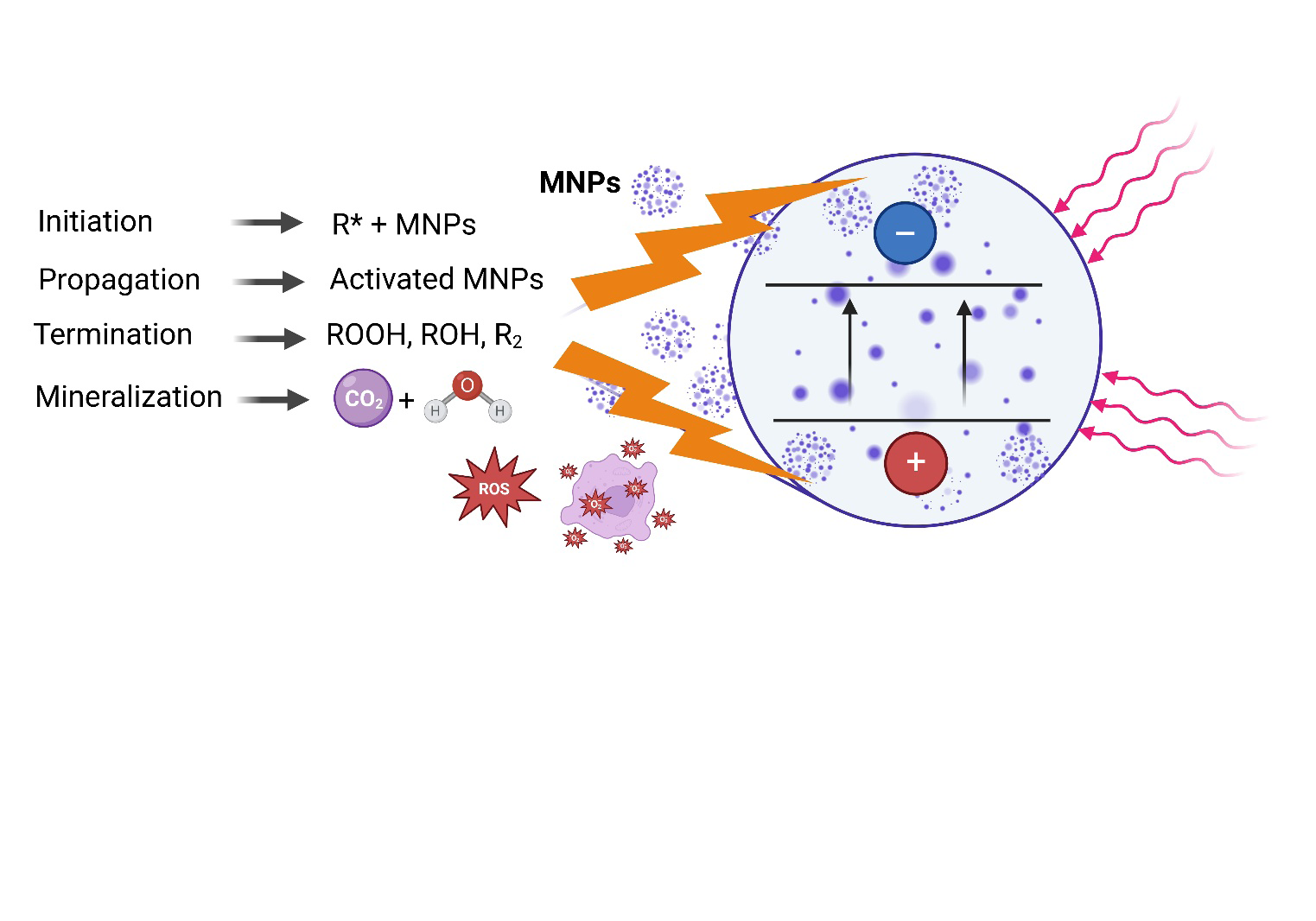 Figure 6: Nanophotocatalysis offers several advantages, including high efficiency, environmental compatibility, and the potential for solar- driven operation, reducing the need for external energy inputs. However, challenges remain, such as catalyst stability, selectivity, and scalability for large-scale applications. To enhance photocatalytic efficiency, researchers are exploring modifications such as doping with noble metals, heterojunction formation, and surface functionalization to extend light absorption into the visible spectrum and improve charge carrier separation. Additionally, integrating nanophotocatalysis with other remediation techniques, such as adsorption or membrane filtration, could provide a more comprehensive solution for mitigating MP and NP contamination in aquatic environments.