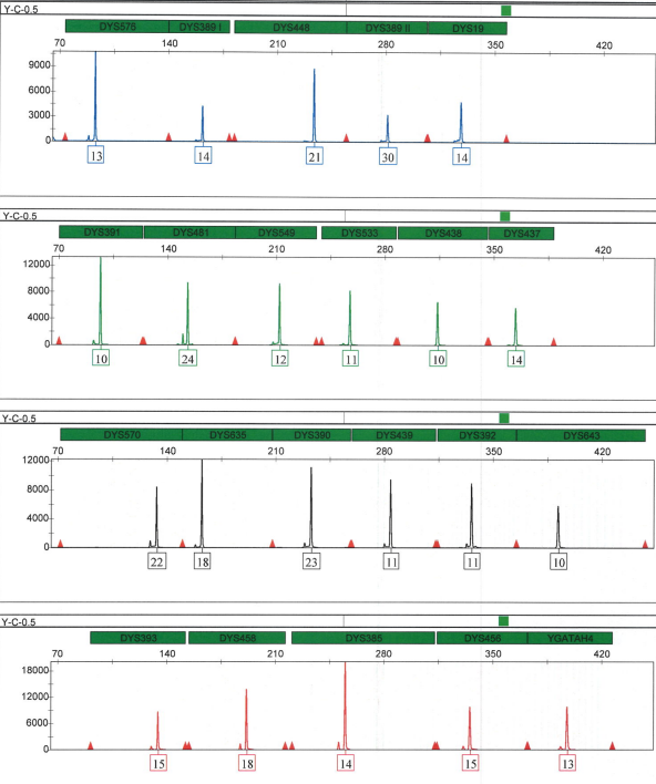 Figure 1: The Powerplex® Y23 Electropherogram for Complete DNA Profile from Control DNA 2800M Sample Obtained at 0.5 ng Template DNA.