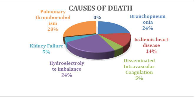 Figure 1: It shows the direct causes of death found where pulmonary thromboembolism, hydromineral imbalance and bronchopneumonia were the most frequent with 6 (28%), 5 (24%) and 5 (24%) deaths respectively.