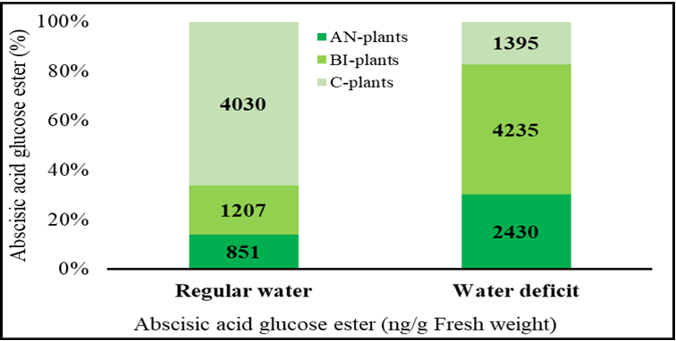 Figure 2: The biosynthesized ABA can be inactivated through several routes. Firstly, ABA 8′-hydroxylase (CYP707A) cleaves ABA into 8′-OH-ABA and the products are immediately converted to the primary products, dihydrophaseic acid (DPA) and phaseic acid (PA).