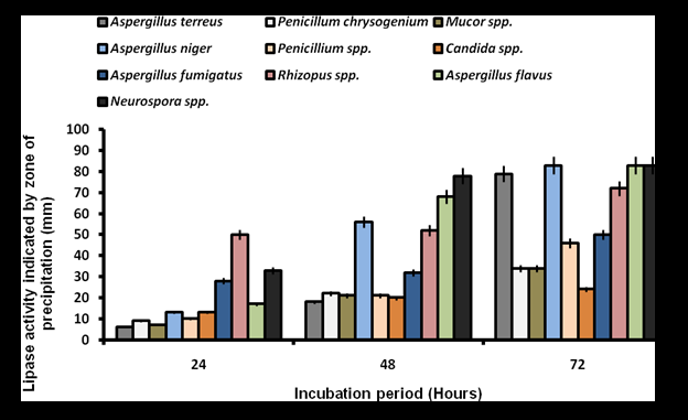 Figure 3: Qualitative Lipase Activity Screening of Fungal Isolates on Tween 80 Agar. The bar represents the standard error of duplicate determination.