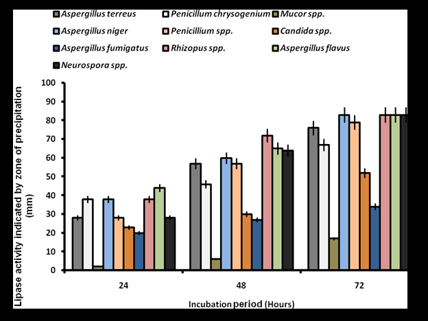 Figure 4: Qualitative Lipase Activity Screening of Fungal Isolates on Phenol Red Olive Oil Agar. The bar represents the standard error of duplicate determination.