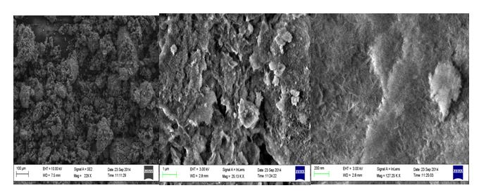 Figure 2: SEM of (Ce-Co/Al2O3) with 3.3%.