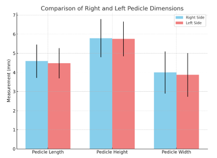 Figure 10: Bar graph showing the comparison of right and left pedicle dimensions—length, height, and width—in typical cervical vertebrae. Error bars represent standard deviation (±SD).