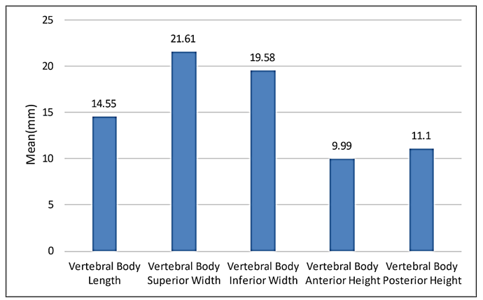 Figure 9: Bar chart showing the mean of the Vertebral Body of the Typical Cervical Vertebrae Pedicle.