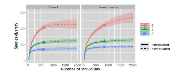 Figure 3: Average randomized rarefaction (solid line) and extrapolation (dotted line) curves showing species diversity, based on the three Hill measurements (q=0, richness; q=1, Shannon; and q=2, Simpson), for a unit increase in sample effort (number of individuals) in the two avifauna assemblages (Hydropower project site = Project; Transmission line corridor=Transmission), along with 95% confidence intervals based on a bootstrap method with 200 replicates.