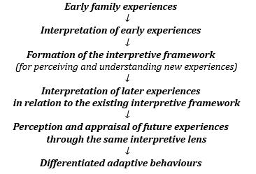 Figure 1: Research scheme: a framework for the interpretation of family experiences.