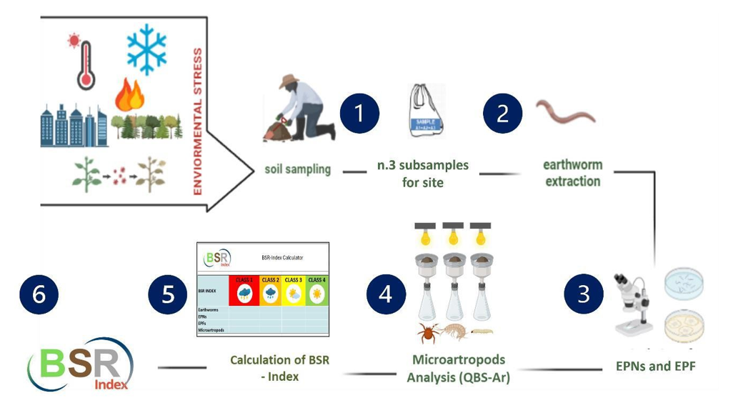Figure 1: Workflow for the evaluation of the Biological Soil Resilience Index (BSR).