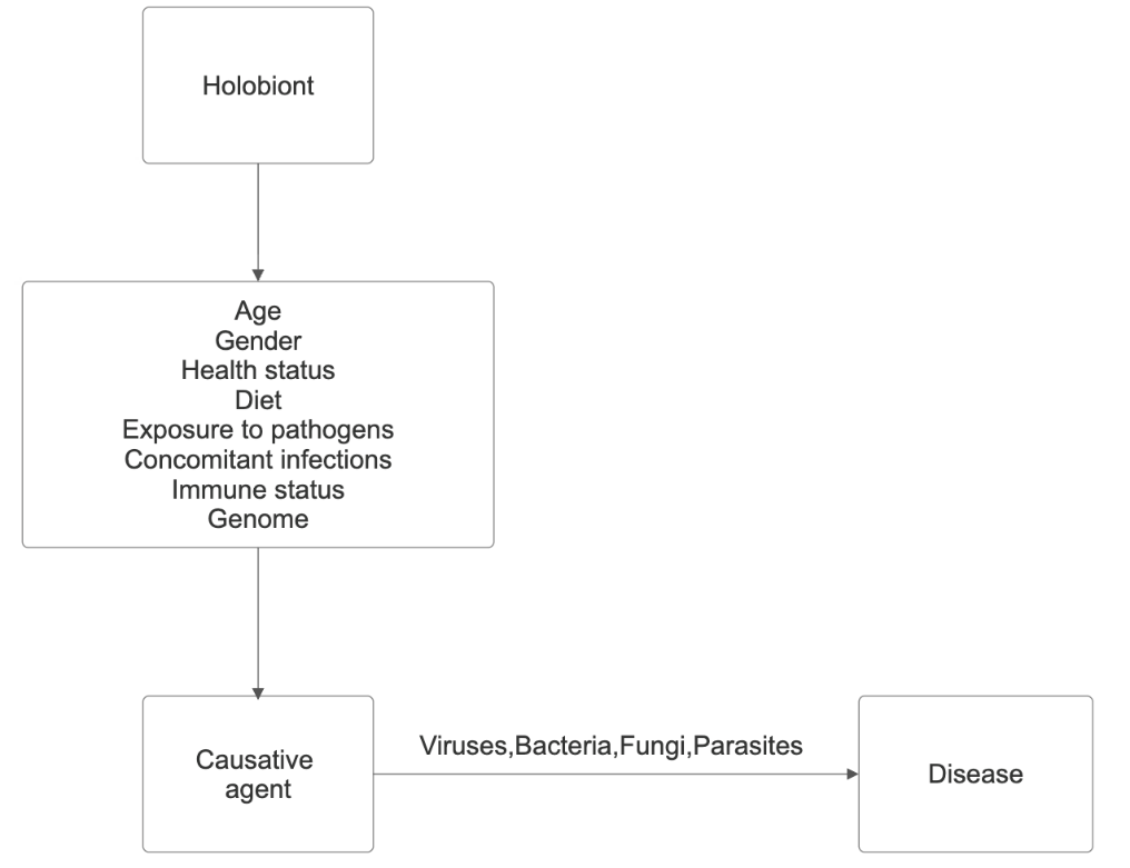 Figure 2: Two-dimensional model.