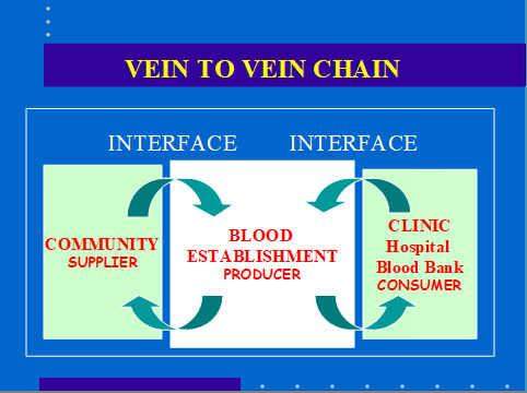 Figure 1: The vein-to-vein chain with the three key parts and the two interfaces.
