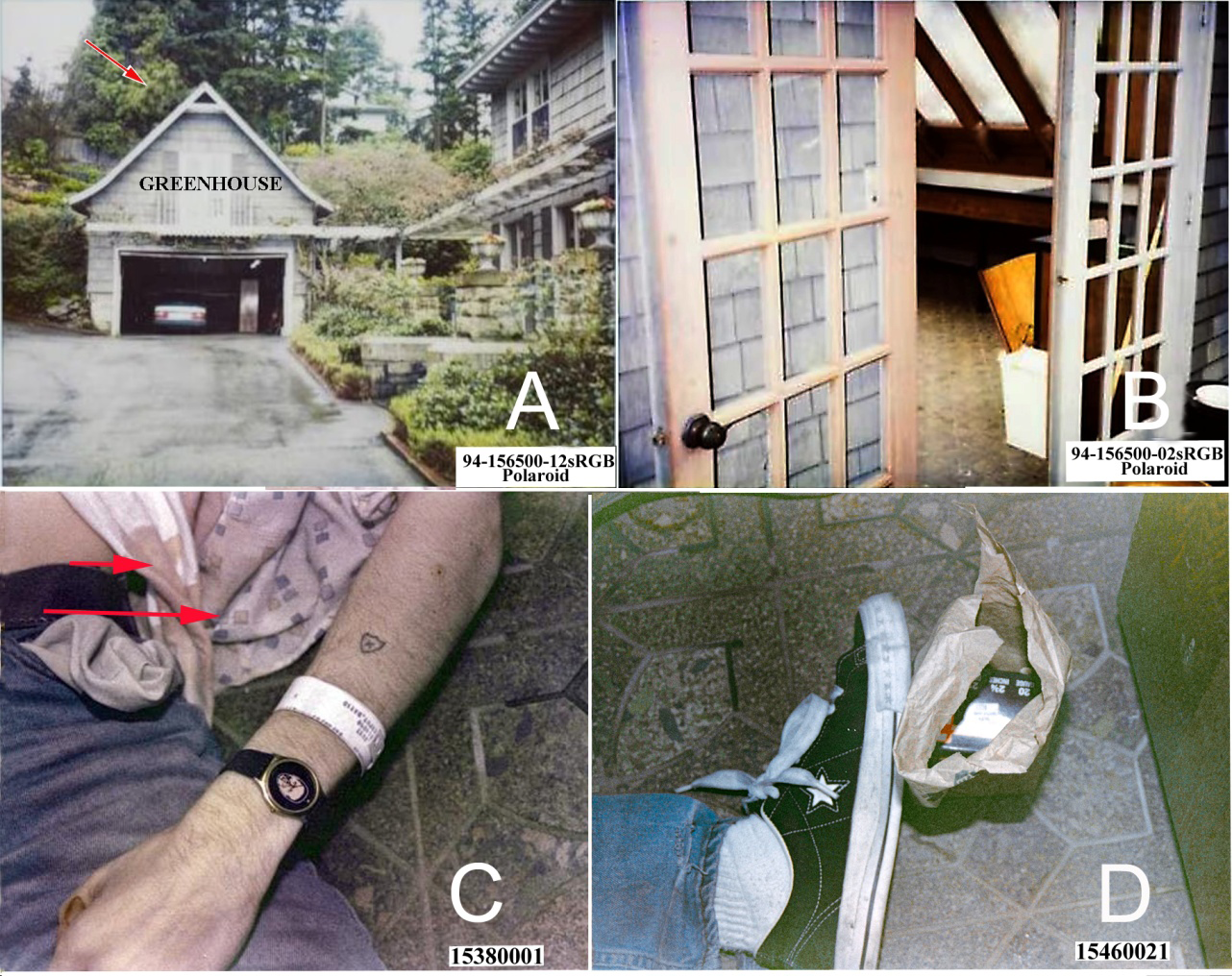 Figure 1: The Kurt Cobain death scene from images released by the SPD in 2014. The original image file names are at the lower right of each image. Images were gamma adjusted and sharpened in Photoshop by author BB. A. The greenhouse or atrium over Cobain’s garage where his body was discovered on April 8, 1994; entry to his home is on the right and entry to the greenhouse is at the back of the garage/greenhouse. Seattle Times reporter Tom Reese was on the other side of the fence in a tree (approximately at red arrow) when he took photographs of the greenhouse entry and one of the right side of Cobain’s body (see Figure 9). B. The double door entry to the greenhouse; the windowpane below the doorknob was broken. The doorknob is keyed and likely could be secured by closing the door from the outside when in the locked position. C. Left dorsal arm and hand of Cobain; a white hospital band from an unknown Seattle hospital or clinic is on his wrist. The long-sleeved button-down shirt and the white undershirt are bloodstained (arrows). D. The lower left leg and foot of Cobain; a bag containing a box of 20-gauge shotgun cartridges is by his foot.