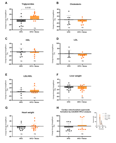 Figure 4: The effects of empagliflozin treatment on plasma lipids, organ weight, and mitochondrial oxidative stress. (A-D) Lipid content was measured in blood plasma: triglycerides (A), cholesterin (B), high-density lipoprotein (HDL) (C), low- density lipoprotein (LDL) (D). (E) LDL to HDL ratio. (F, G) Liver and heart weights were measured on the last day of the treatment period. (H) Mitochondria-specific superoxide formation in cardiac tissue measured by mitoSOX HPLC analysis, including representative chromatogram. (A-G) Each data point represents the change (in %) caused by empagliflozin in individual animals (n = 8). (H) A triplet of data points represents the change (in %) caused by empagliflozin in a sample obtained by pooling tissue from four animals [(n = 4 pooled mitochondrial preparations)]. For statistical analysis, we used two-way ANOVA, and p < 0.05 were considered significant (*p < 0.05).
