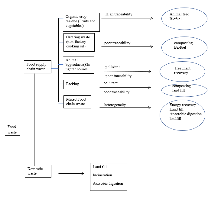 Figure 1: Schematic representation of Foodwaste recycling chain and its applications.