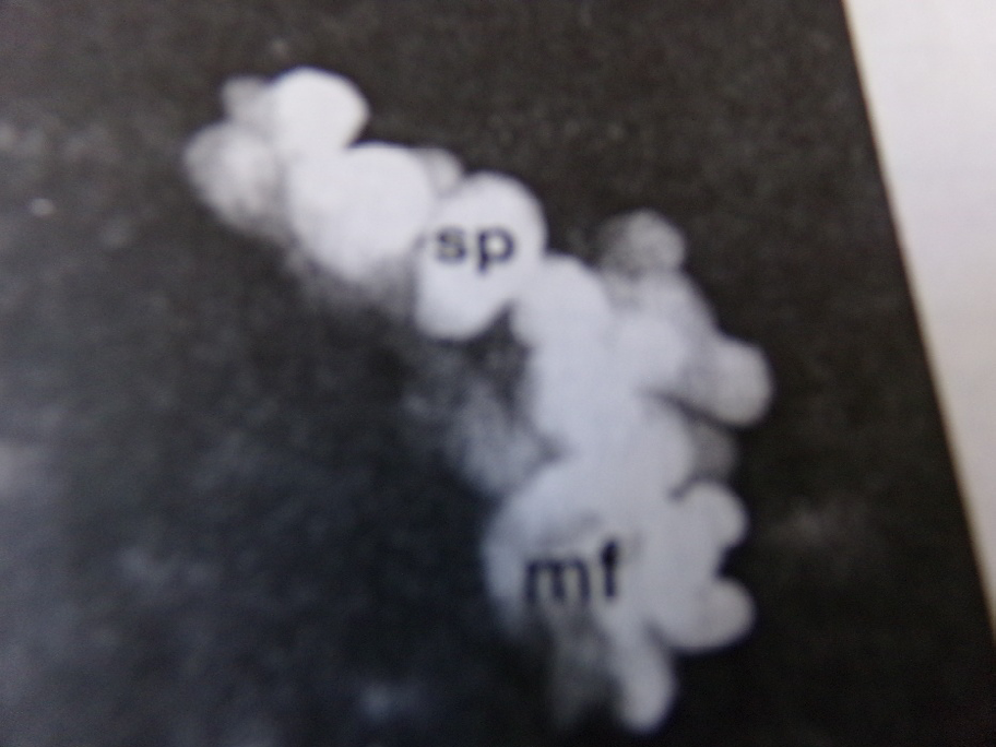 Figure 5: Environment impose and its conditions.