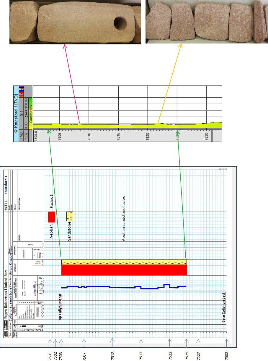 Figure 5: Core logging, correlated with the gamma-ray log and core photographs, records lithology, facies, and grain-size variations in the cored interval.