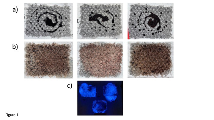 Figure 1: Results from Treatment 1 -2 Hour Samples: Blood Was Applied To The Carpet, A: And Allowed To Dry For 2 Hours Until Subjected To Treatment. B: Which Consisted Of Either Water (Left), Soap And Water (Center) Or Coca-Cola (Right). The Carpet Samples Were Scrubbed And Allowed To Dry. The Samples Were Analyzed With Luminol. C: To Detect The Presence/ Absence Of Blood. All The Carpet Samples Containing Fresh Or Aged Blood Were Highly Fluorescent When Viewed With Luminol. Carpet Samples Containing Blood And Cleaned With Soap And Water (Top Right) Were The Most Fluorescent With The Carpet Samples Containing Blood And Rinsed With Coca-Cola Were The Least Fluorescent (Bottom).
